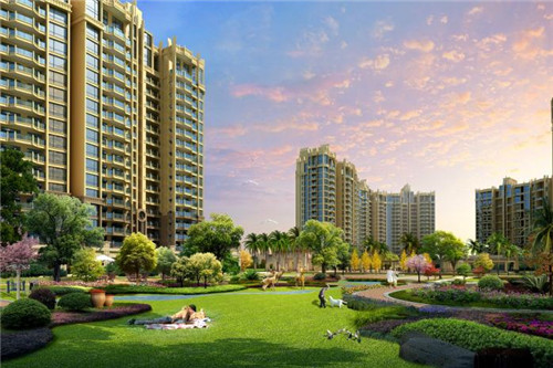 非鱼莫属藤椒鱼饭