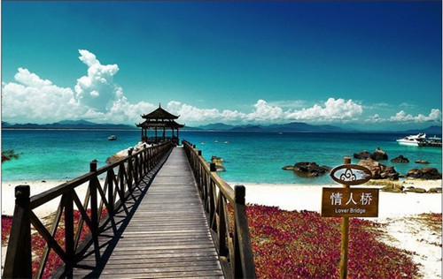 福味祥烧鸡绝味黑鸭