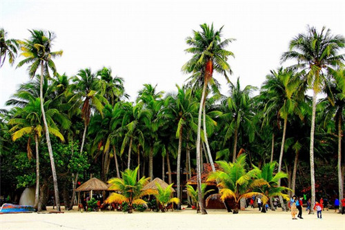 在宁强县加盟汪保来糕点什么位置生意好，宁强县投资蛋糕创业怎么样