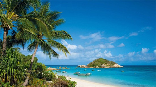 奶茶店怎么选主营行业好，奶茶店的渠道选择