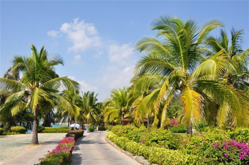 宠物用品店怎么开网店，网店创业宠物用品店怎么样