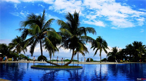 锚鱼竿加盟项目现在哪些比较可靠，锚鱼竿钓鱼视频