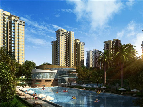 长春市开店创业黑水牛角梳招商加盟好项目推荐，黑水牛角梳子梳头有什么好处