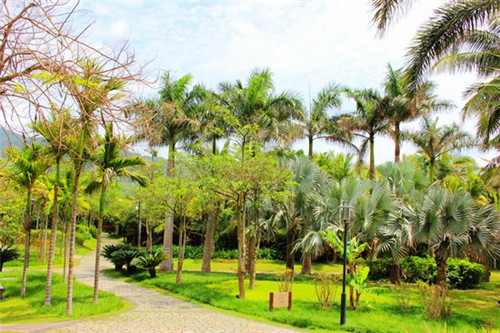 瘦肉可以用酱炒了吃吗（瘦肉可以做炸酱吗）