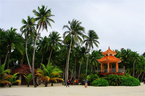 女生起名sf代表什么（sf叫啥名字）