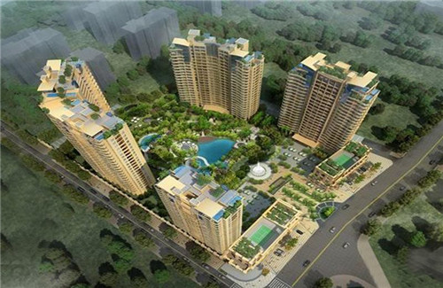 减脂期可以吃炒的菠菜吗（减肥的人可以吃菠菜吗）